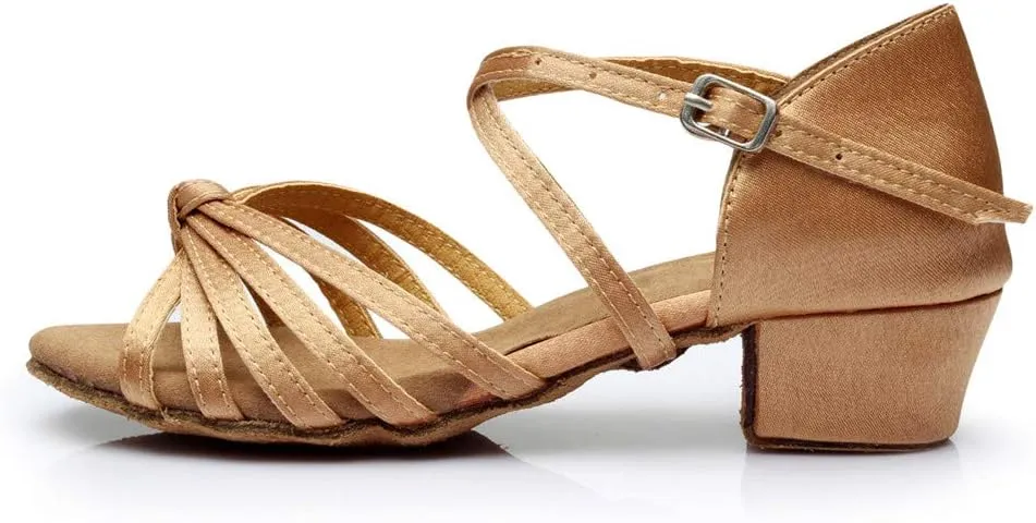 Chunky Dress Shoes for Women Open Toe Latin Dance Shoes Professional Ballroom Sandals Low Block Heeled Sandals