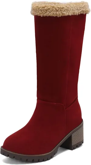 Gicoiz Women Block Heels Warm Mid Calf Snow Boots
